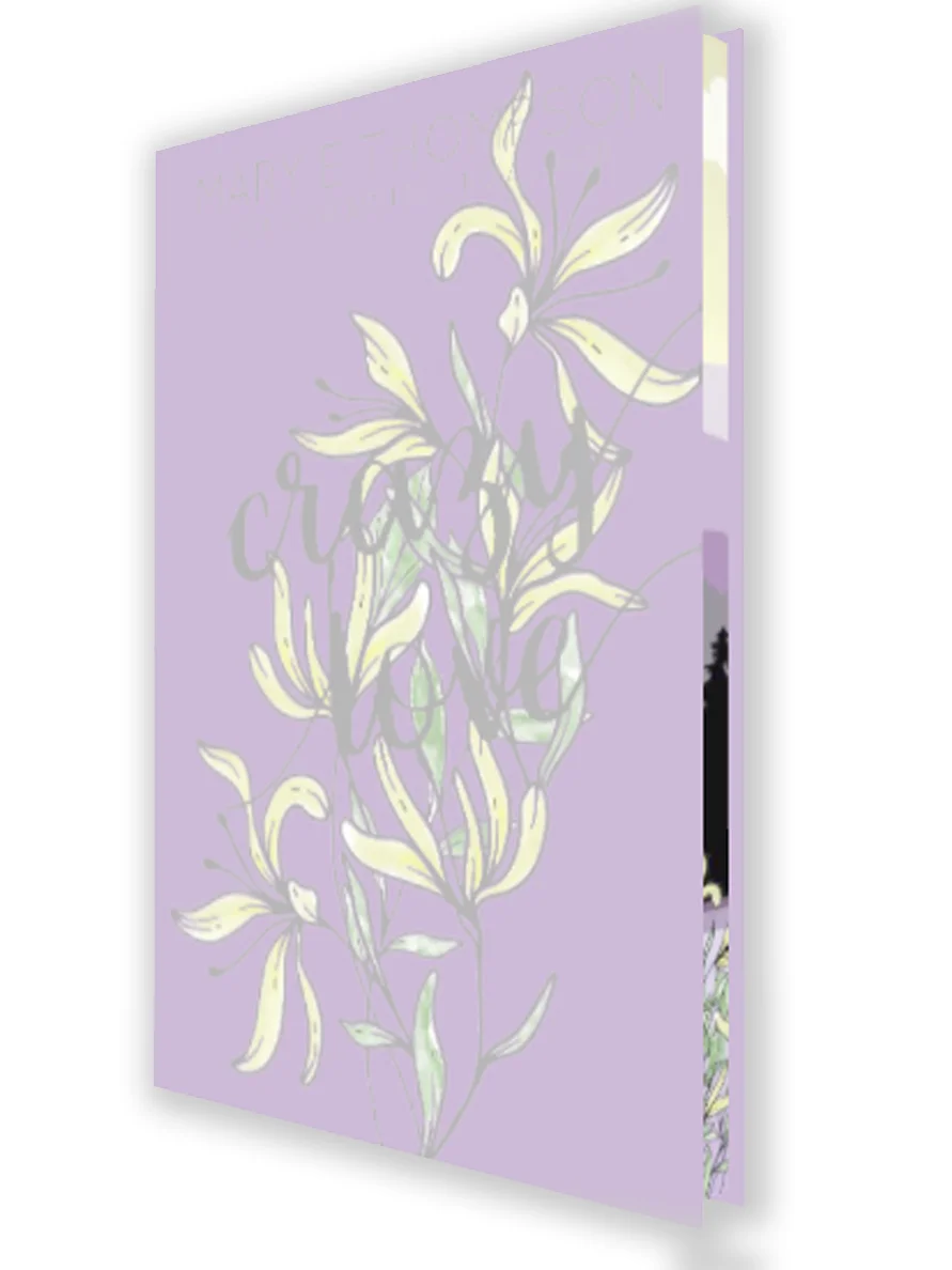 Crazy Love (HARDCOVER) product image (1)