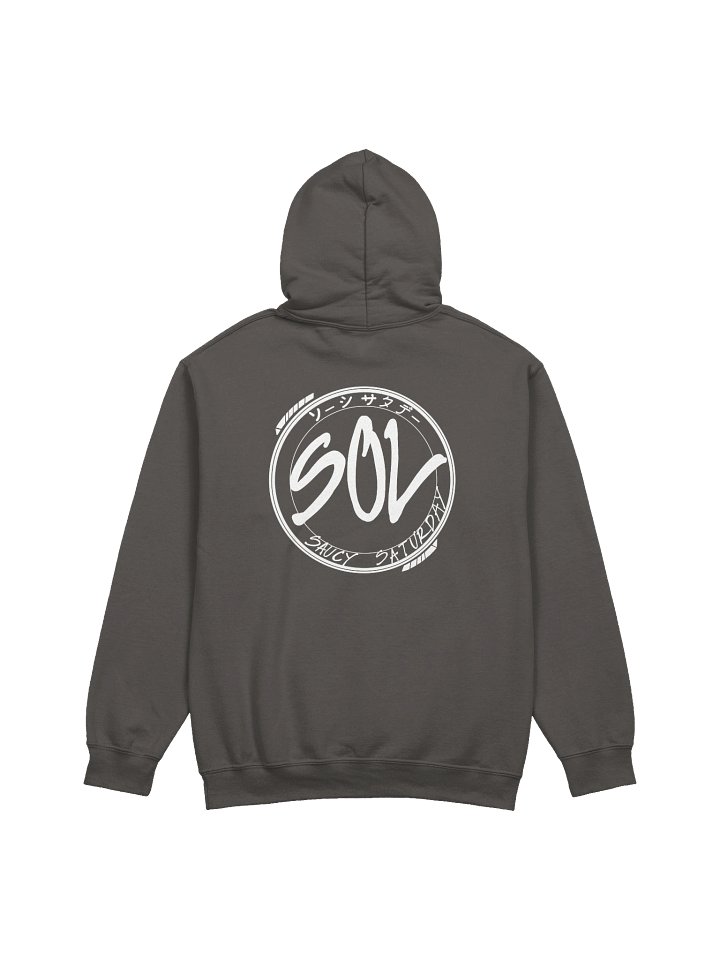 SOL Color Hoodie product image (10)