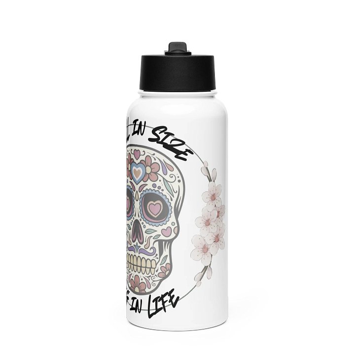 Stainless Steel Water Bottle with a Straw Lid product image (1)
