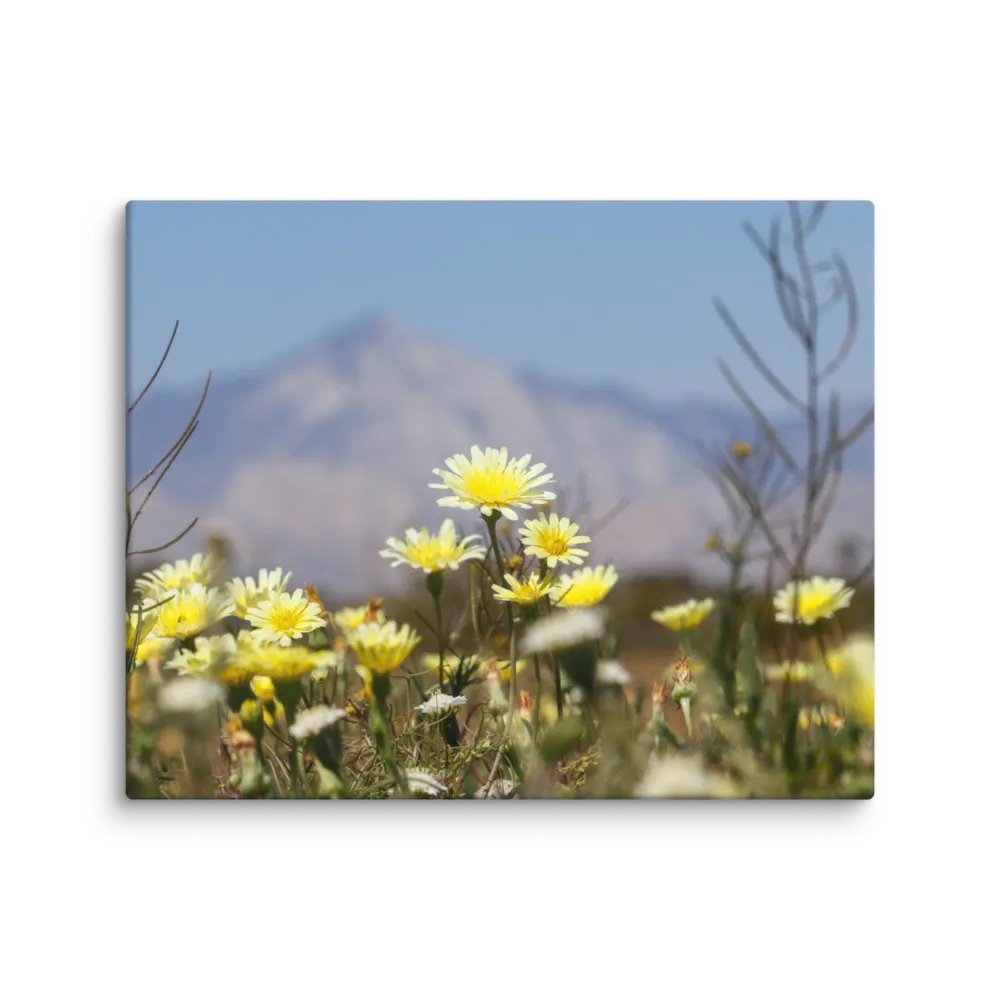 Canvas Print - Wildflowers with Mountains product image (1)