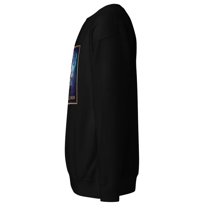 Celestial Shaman Premium Sweatshirt product image (2)