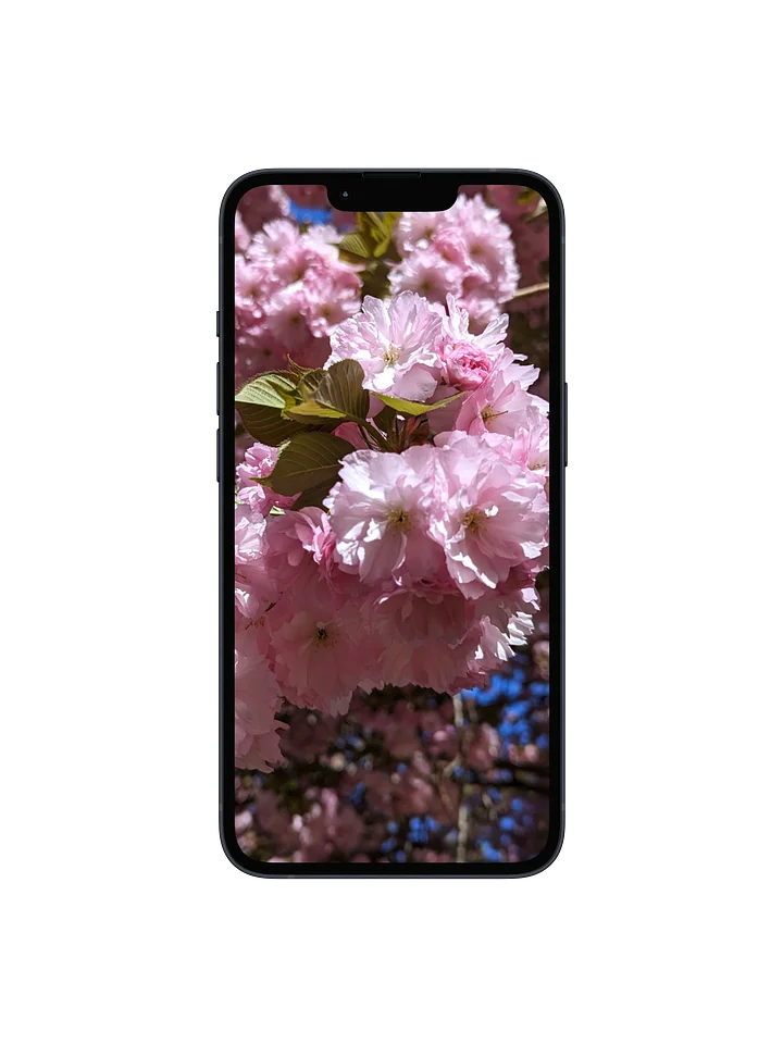 Cherry Blossom Digital Wallpaper Set product image (1)