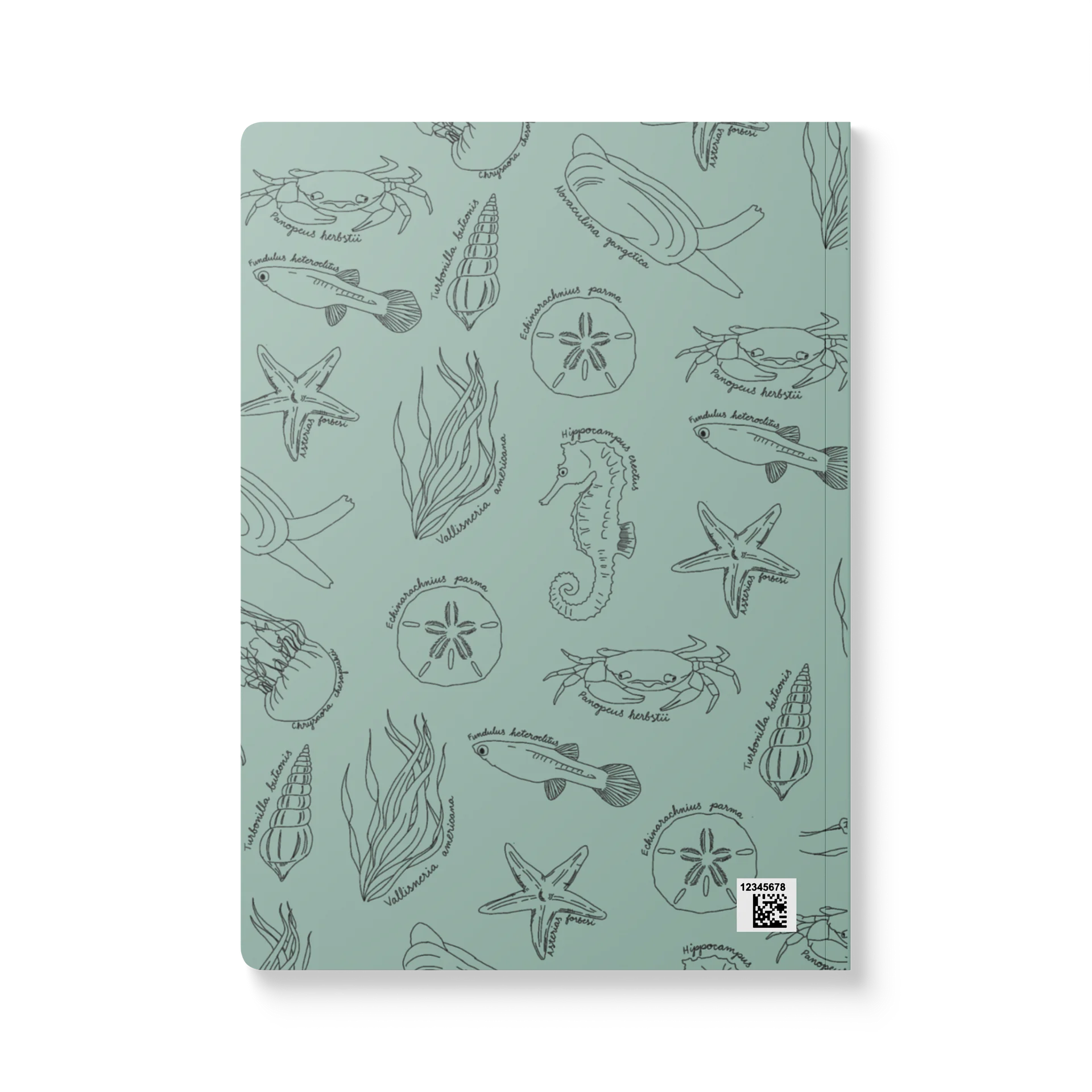 Chesapeake Bay Notebook product image (2)