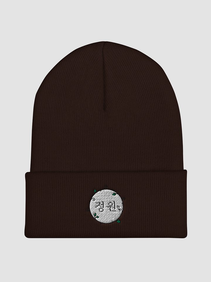 Seal Cuffed Beanie product image (1)