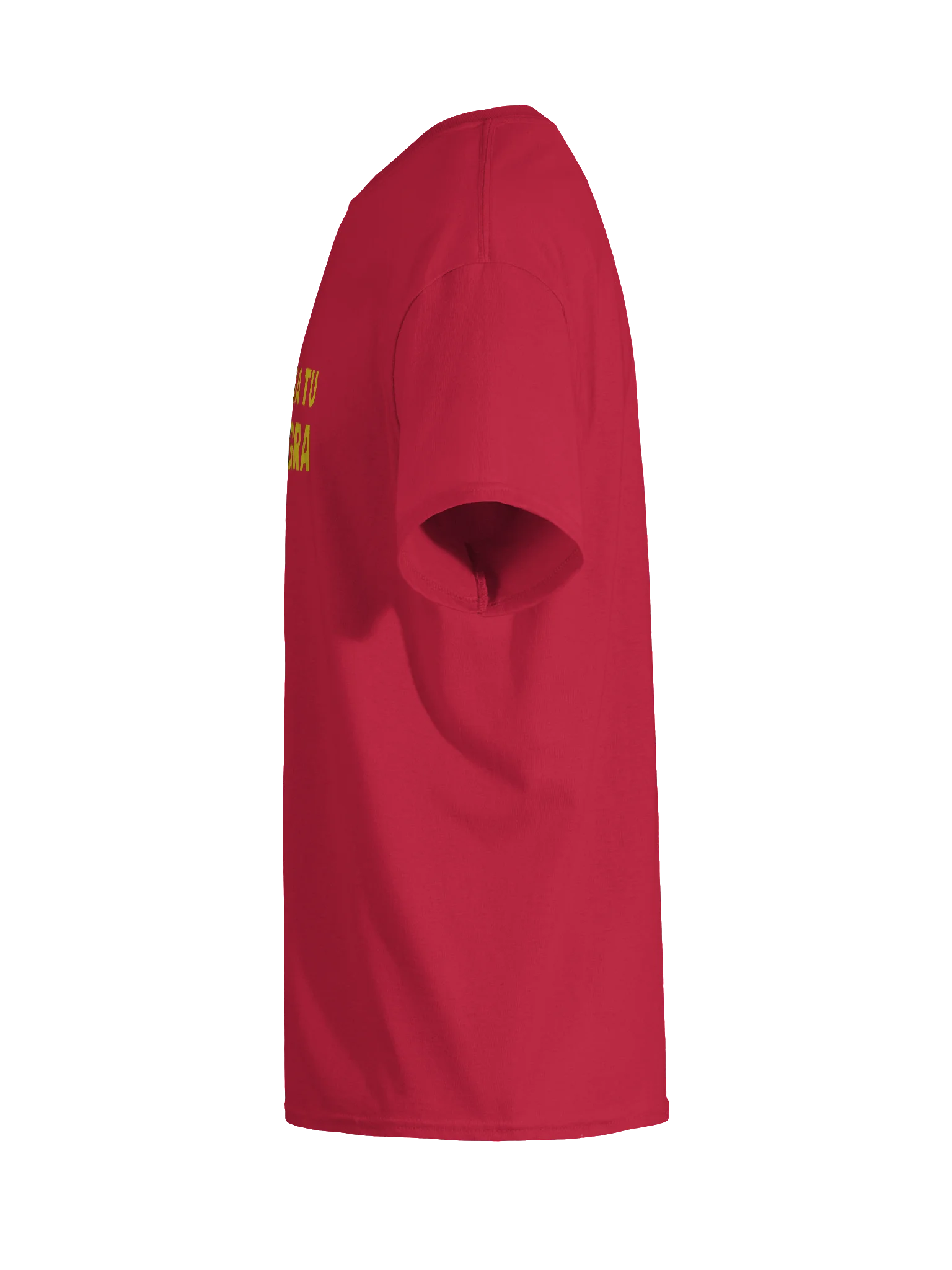 Chapulin Colorado Chinga tu Migra Gildan Heavyweight Tee product image (7)