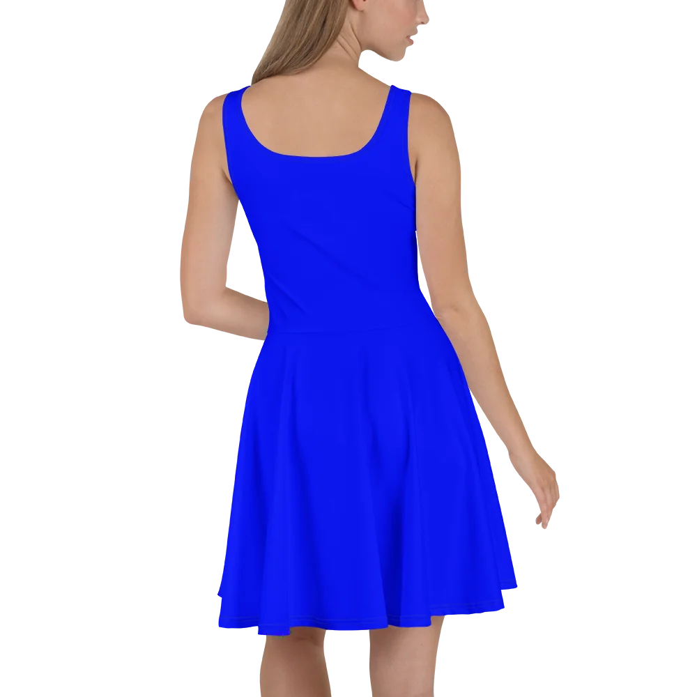 AFW Blue Skater Dress product image (6)