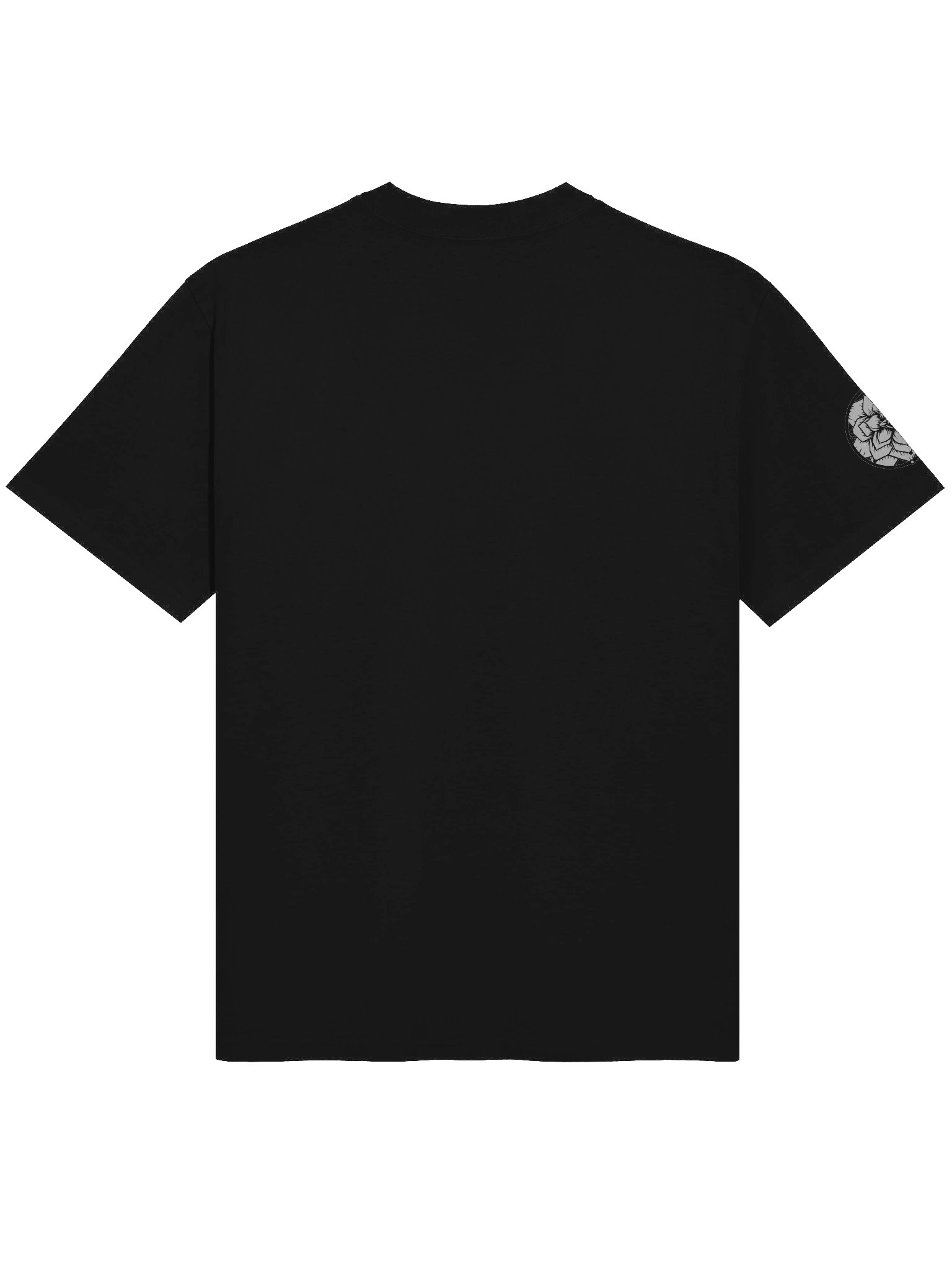 Logic Plague Japanese Oversized Tee product image (4)