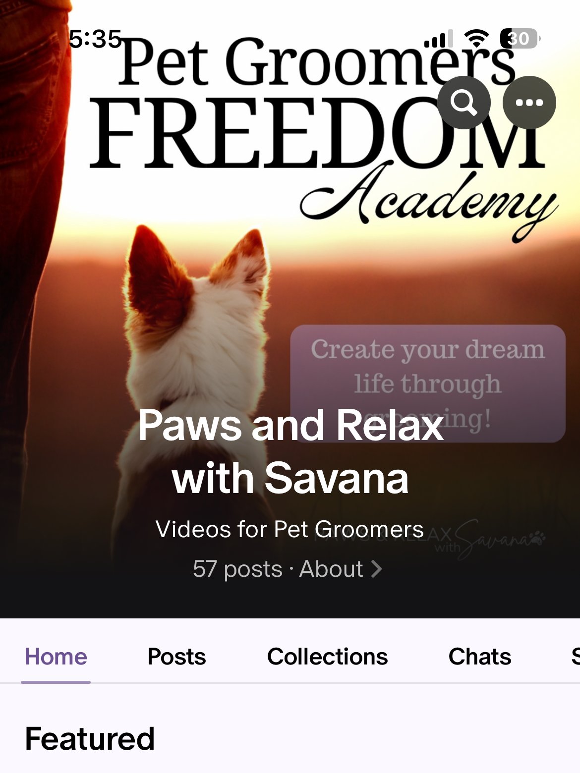 LESSONS & COURSES! Start, Scale & Thrive product image (5)
