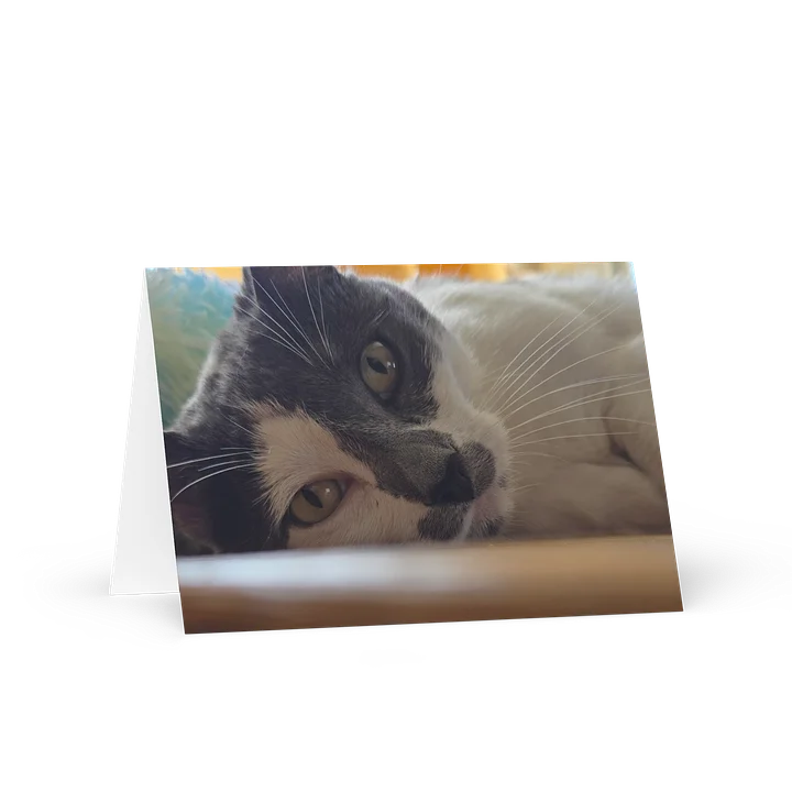 Paislie Feline Gaze Greeting Card product image (1)