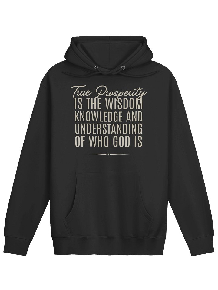 True Prosperity Is The Wisdom Knowledge And Understanding of Who God Is - Pullover Hoodie product image (3)