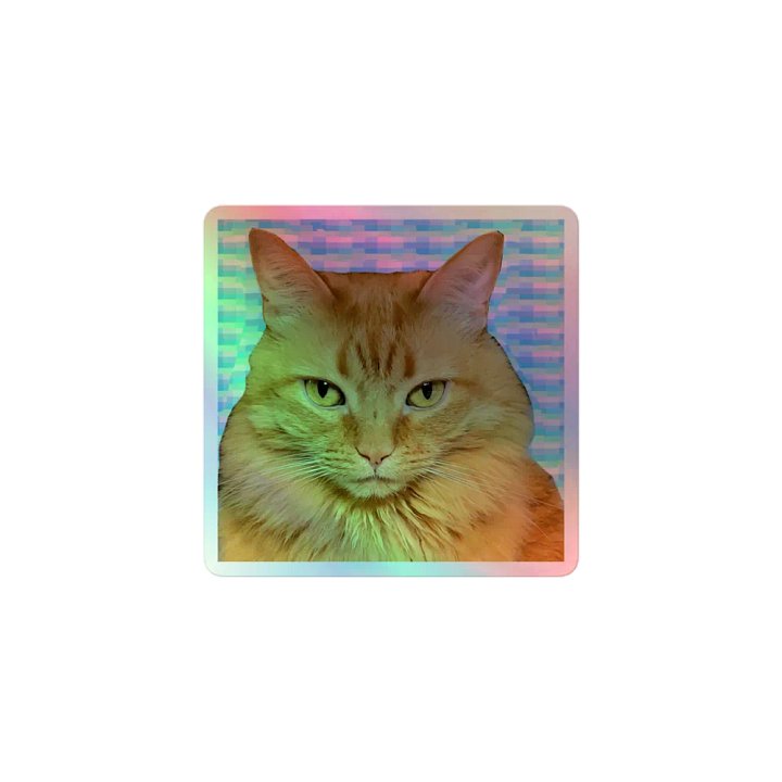 Sammy Stare Holographic Sticker Set product image (1)