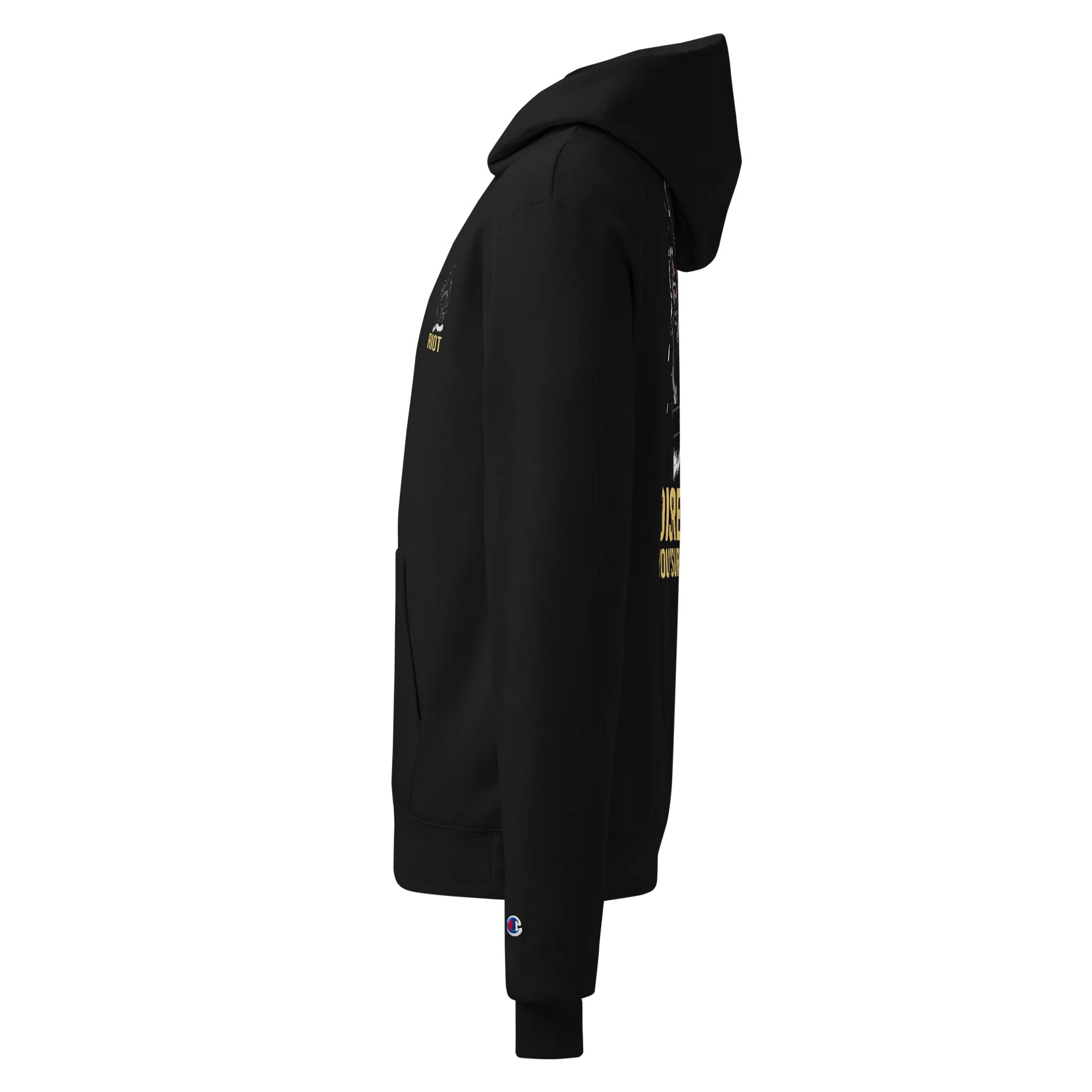 Disrespect Your Surroundings - Champion Hoodie product image (3)