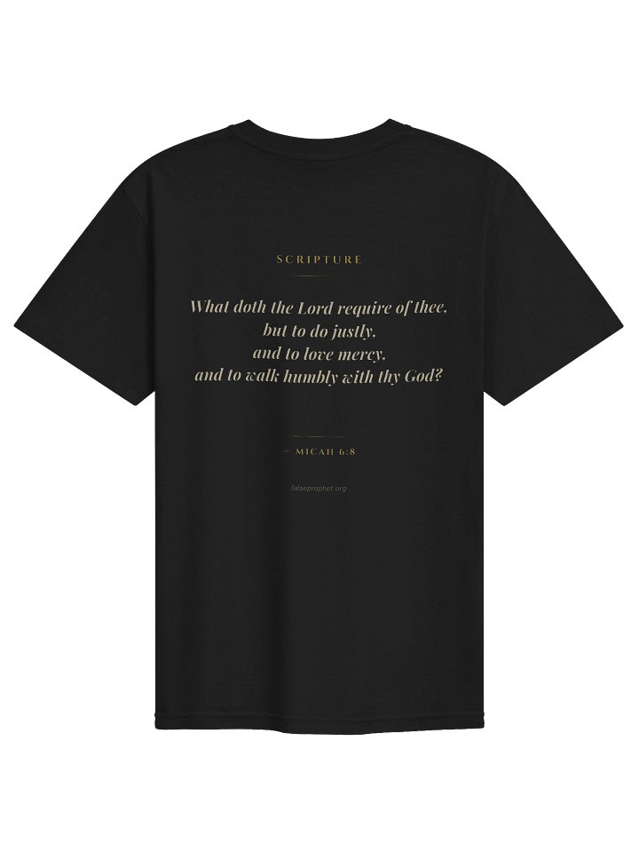 Micah 6:8/Walk Humbly T-Shirt (Black) product image (1)