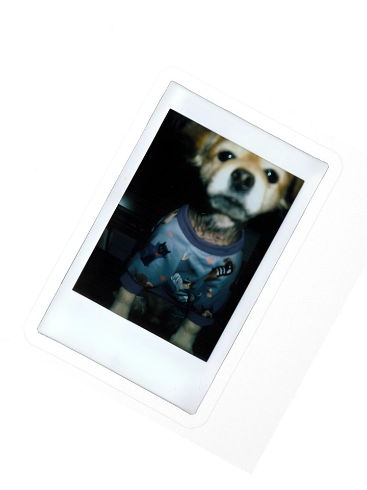 Polaroid C Sticker product image (2)