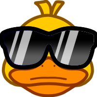 Disco Duck Basic ❤️ 