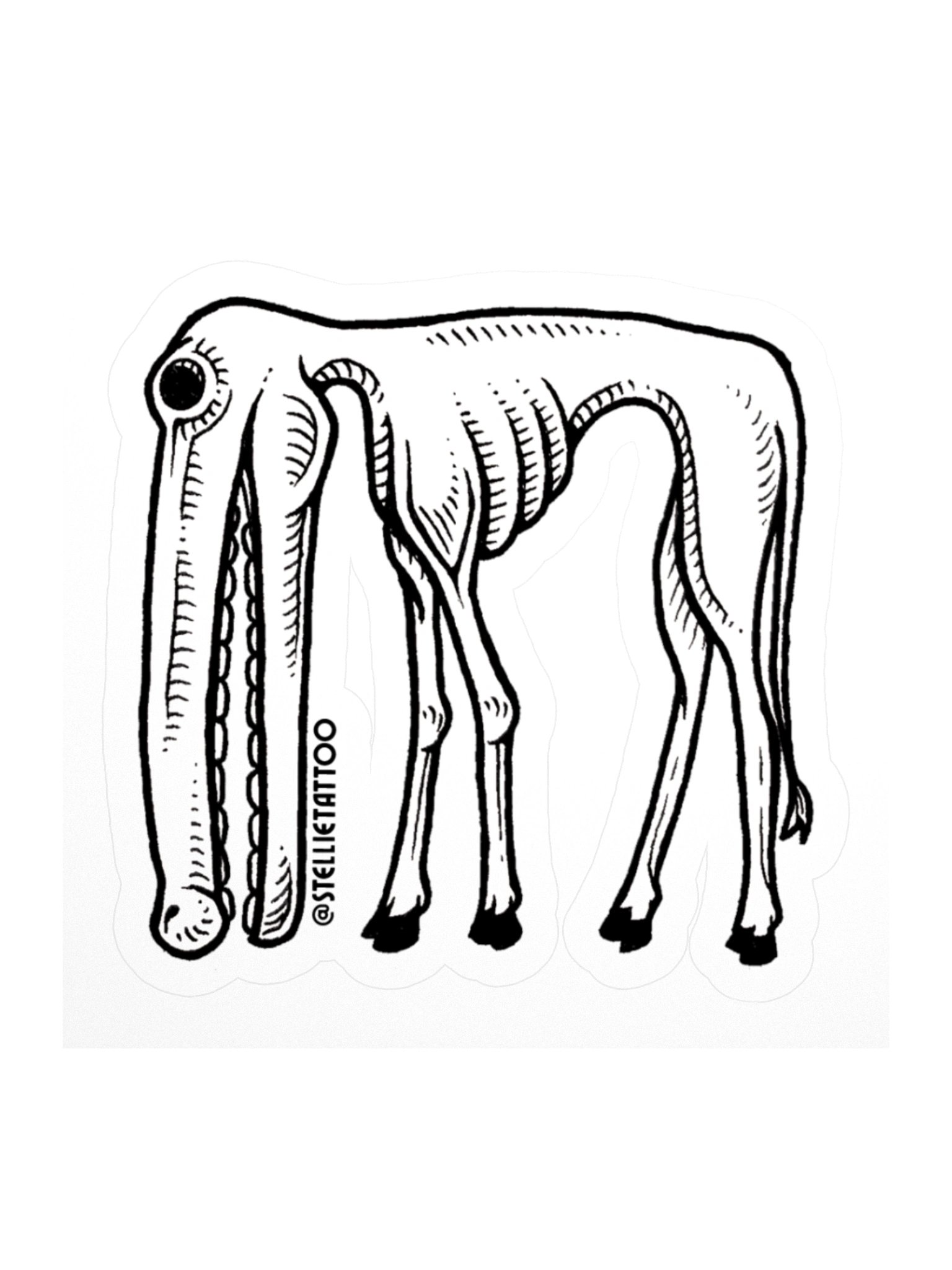 Specimen No. 3 - Longface product image (2)