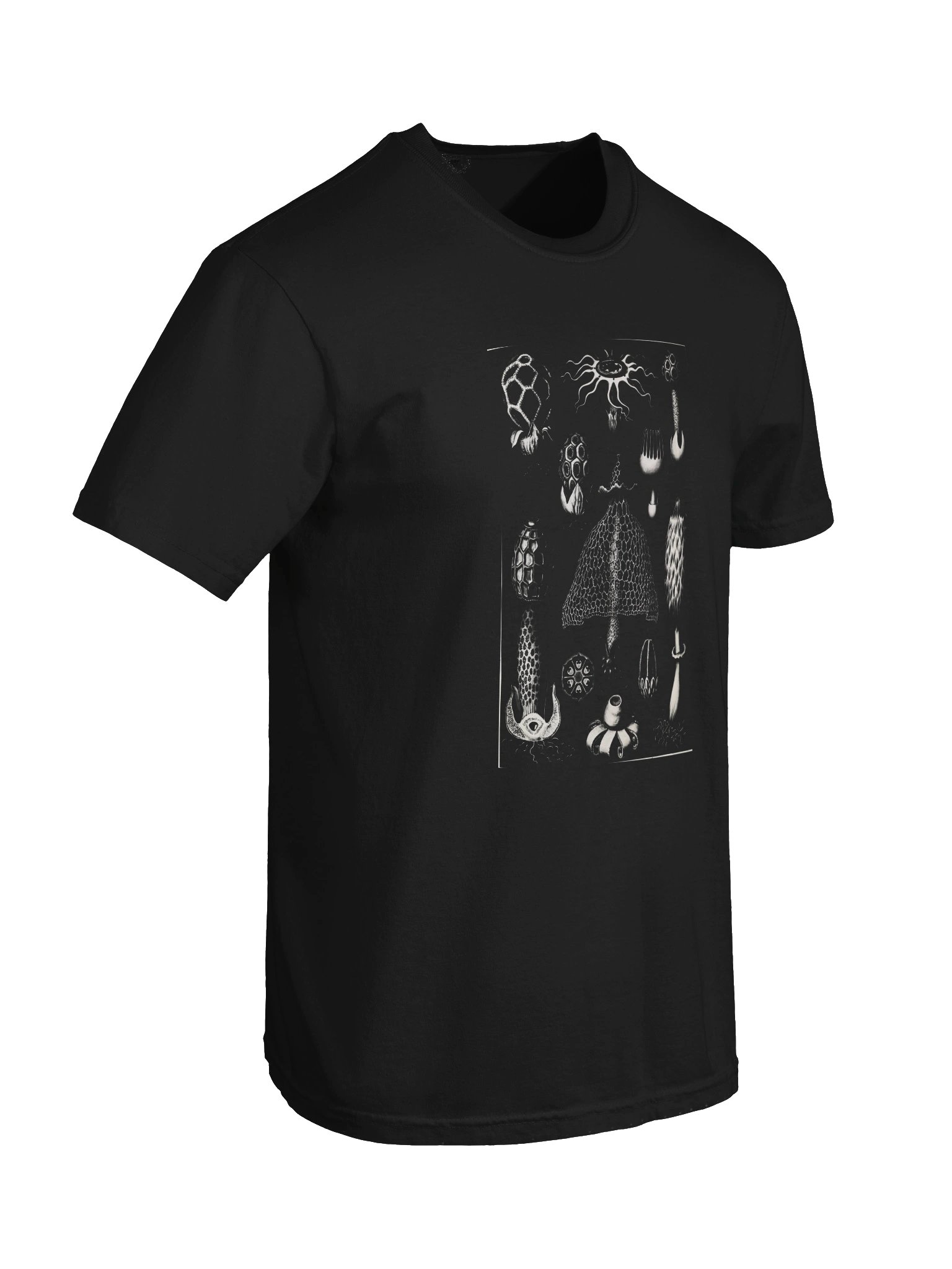 Stinkhorn Fungi Vintage Scientific Illustration T-Shirt product image (6)