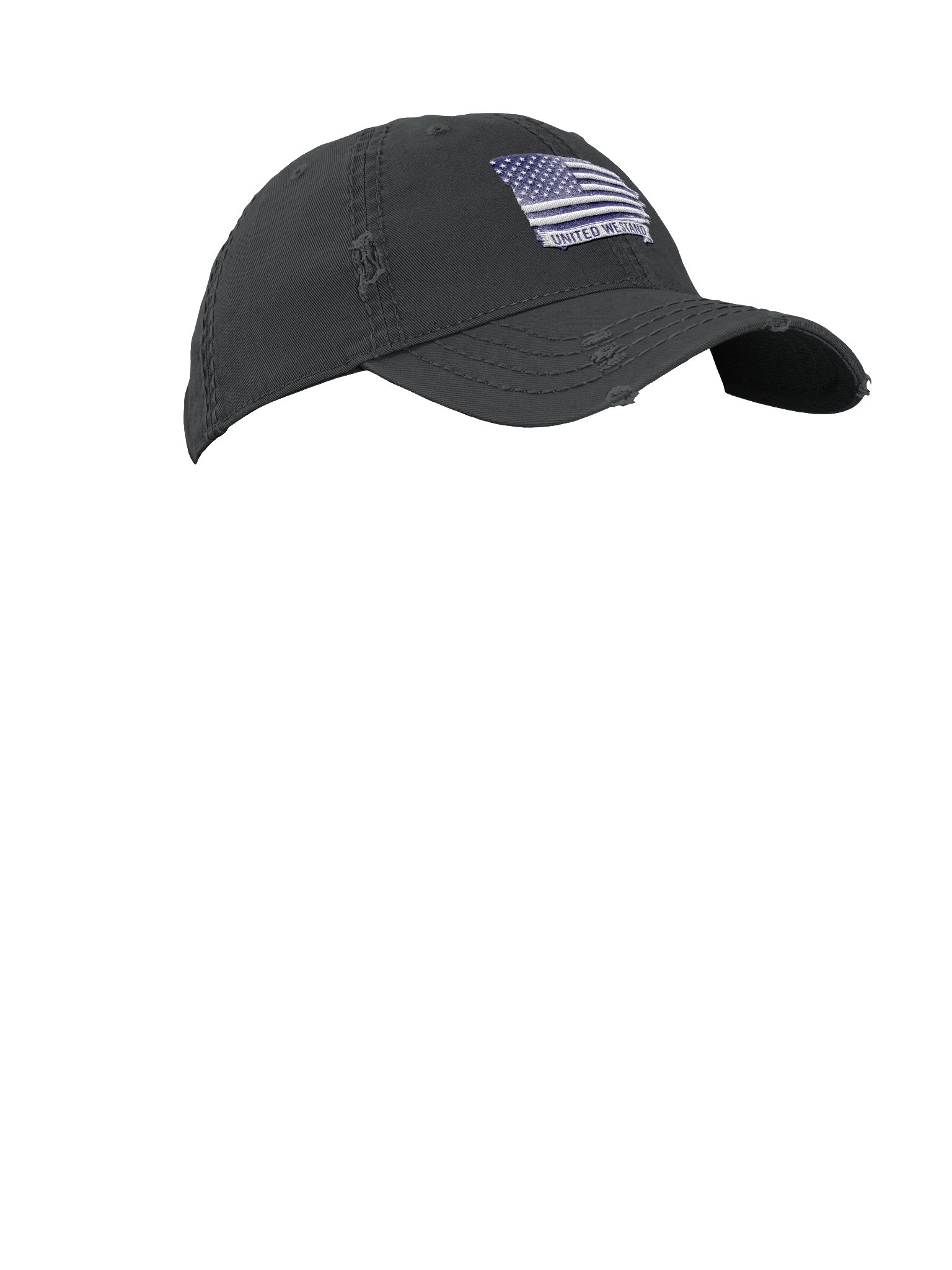 United We Stand - Distressed Cap product image (7)
