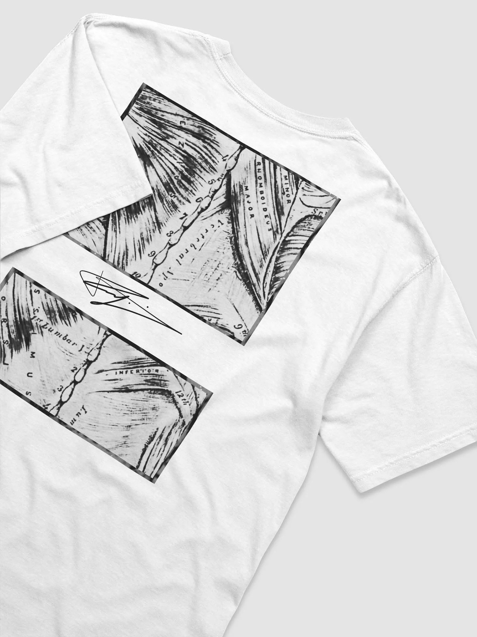 OPEN UP SHIRT - LIGHT product image (9)