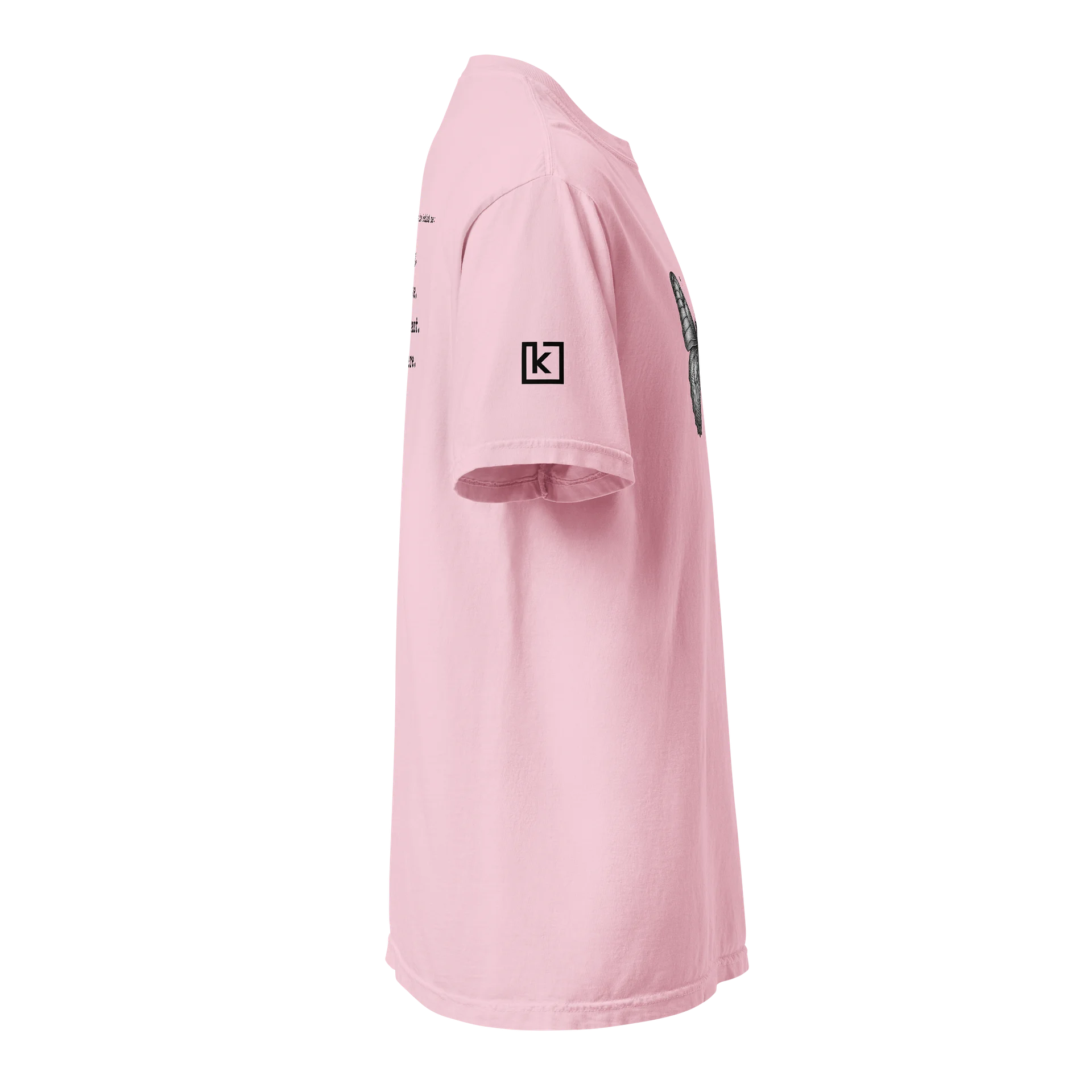 Trans Youth Ally product image (16)
