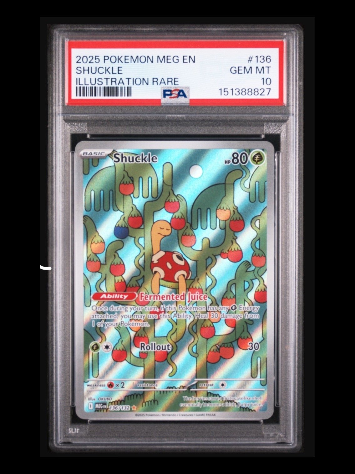 Shuckle #136 PSA 10 product image (1)