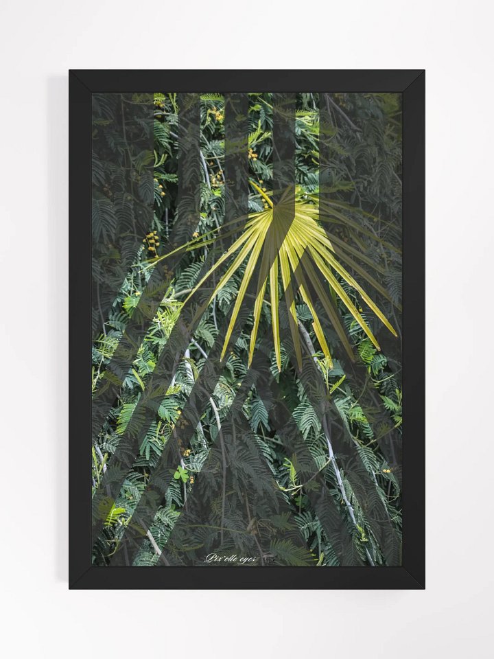 GeoGraphik Art Print – Palm Harmony, Rayol Garden product image (1)