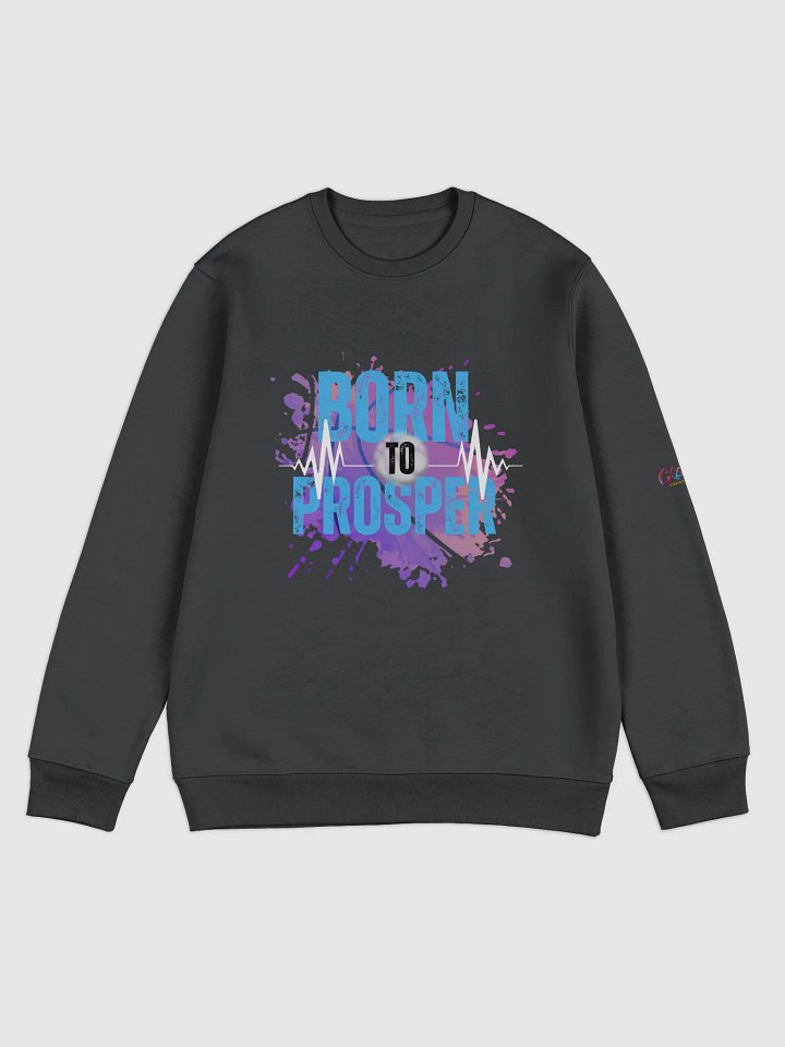 Born to Prosper Unisex Eco Sweatshirt product image (2)