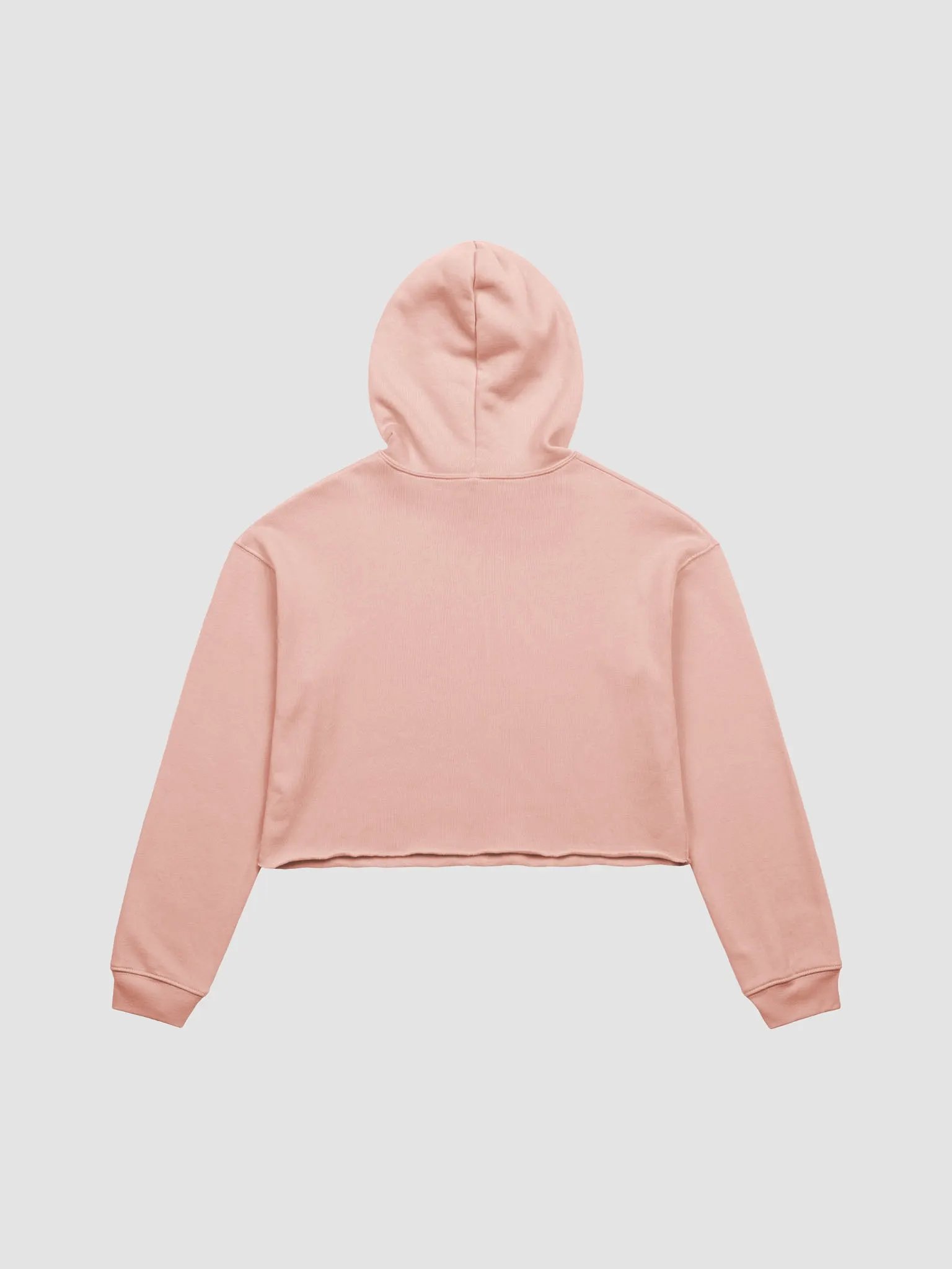 Only Gamers - Crop Hoodie product image (3)