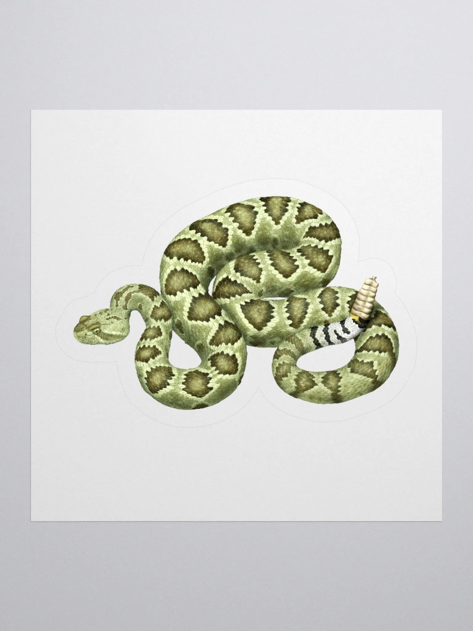 Die-Cut Sticker – Mojave Rattlesnake (Green) product image (1)