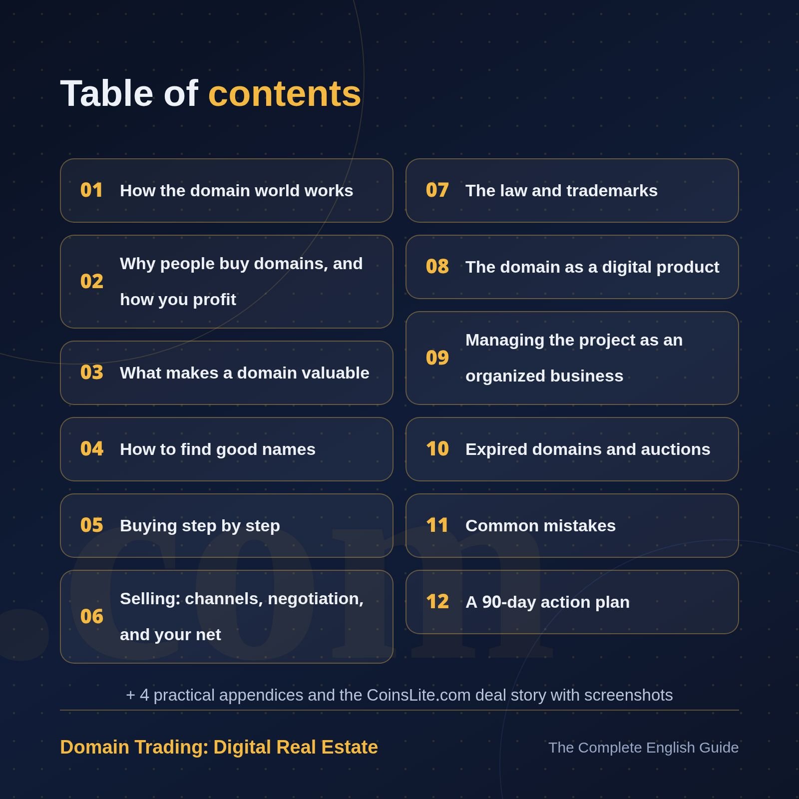 Domain Trading: Digital Real Estate | The Complete Guide to Buying, Valuing and Selling Domain Names product image (3)