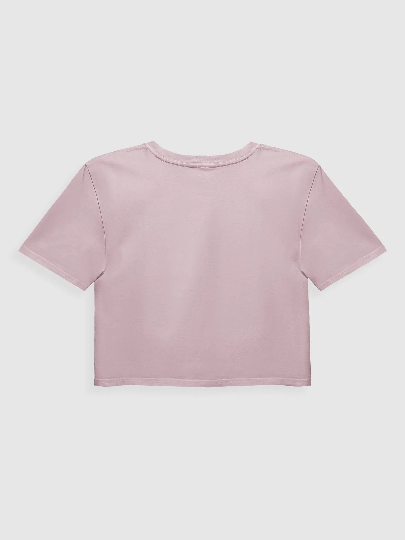 Gaming Abe Crop Top product image (2)