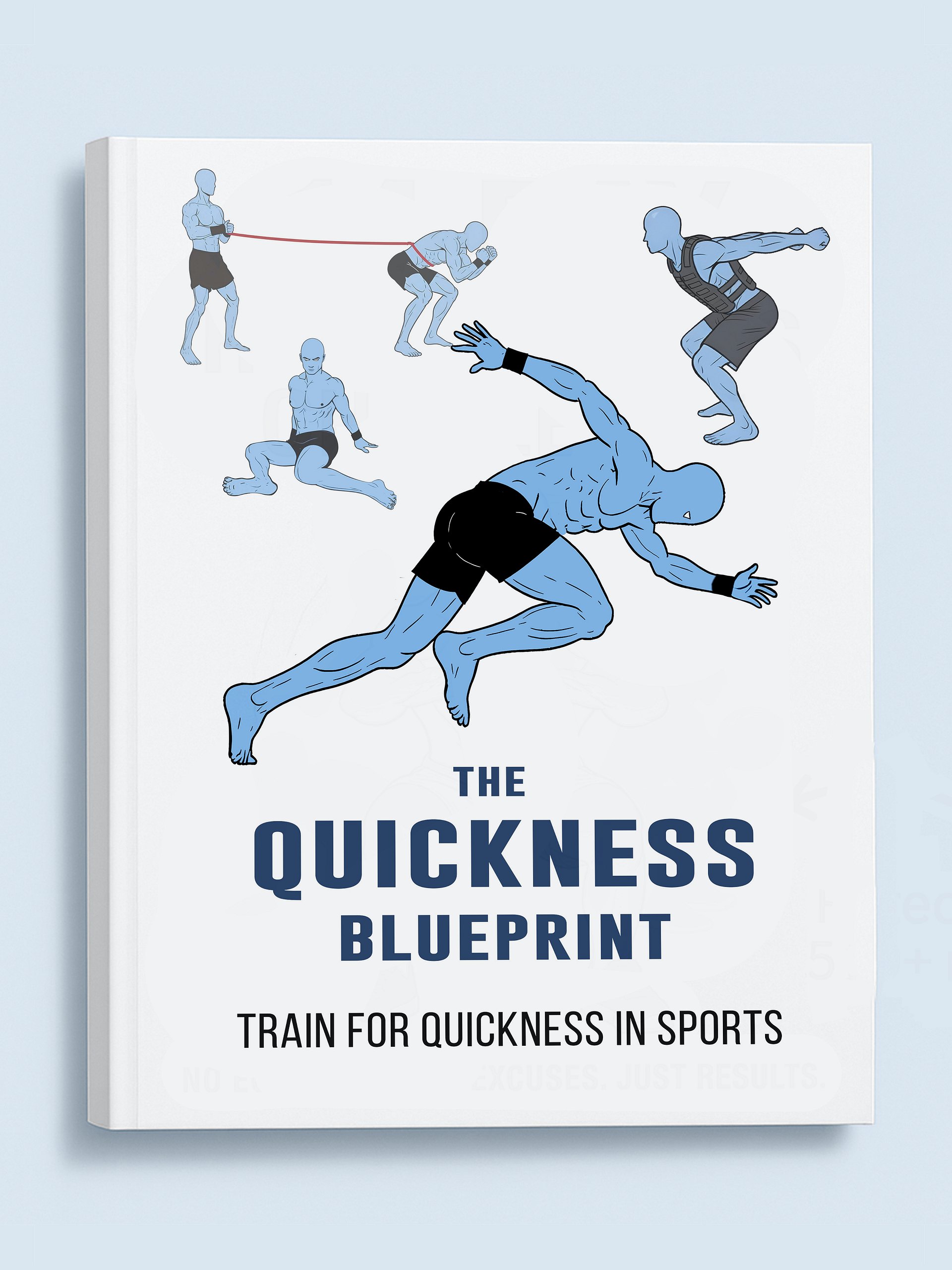 The quickness blueprint product image (1)