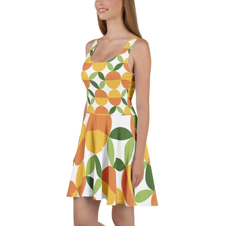 Geometric Fusion Sleeveless Skater Dress product image (1)