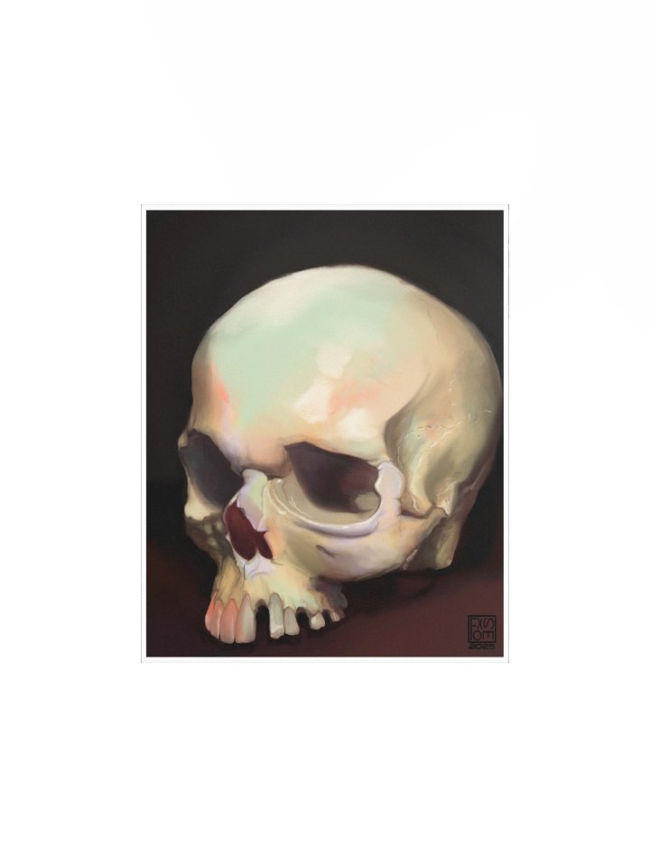 Skull Study product image (2)