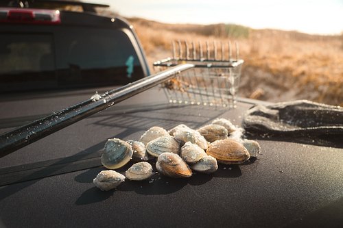 Crazy? Maybe. Worth it? Definitely 💯! My first clamming experience hosted by @thelinecookfishing and friends on the coldest d...