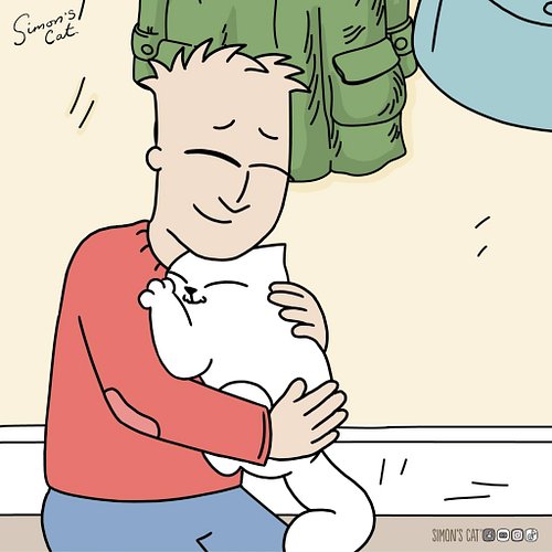 How it feels to return home to your cats...
