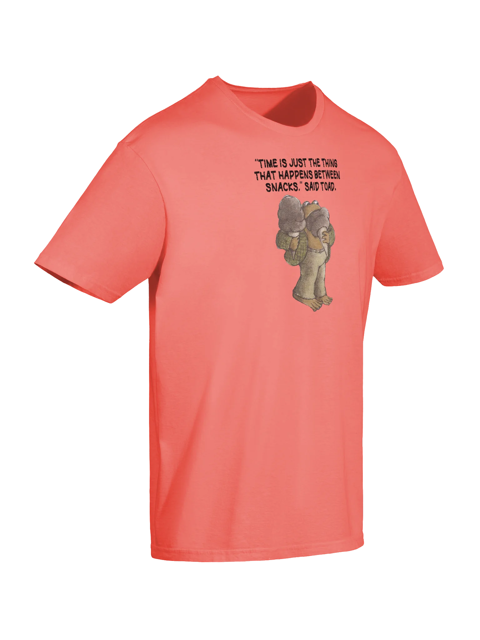 Frog and Toad Ice Cream T-Shirt product image (11)