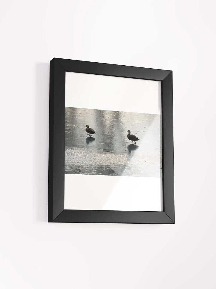 Ducks On Ice print product image (14)