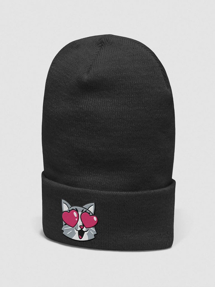 devoLOVE Beanie product image (2)