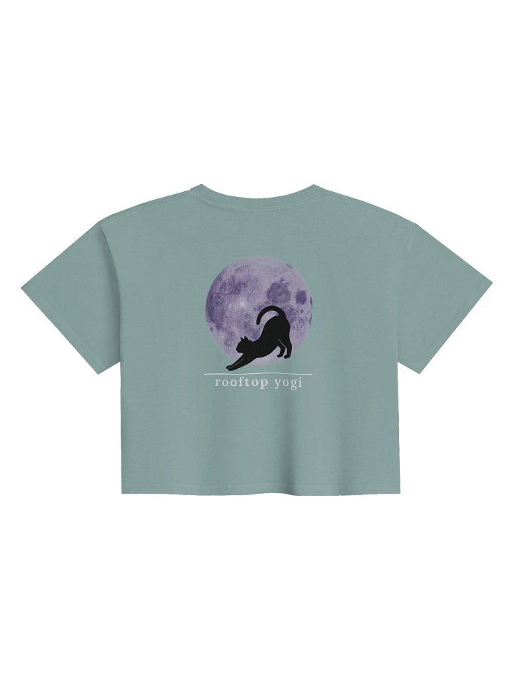 Moonlit Feline Women's Crop Tee product image (2)