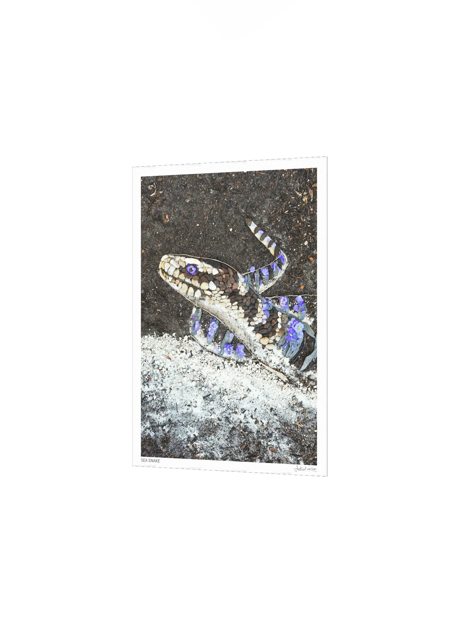 SEA SNAKE | Fine Art Print product image (3)
