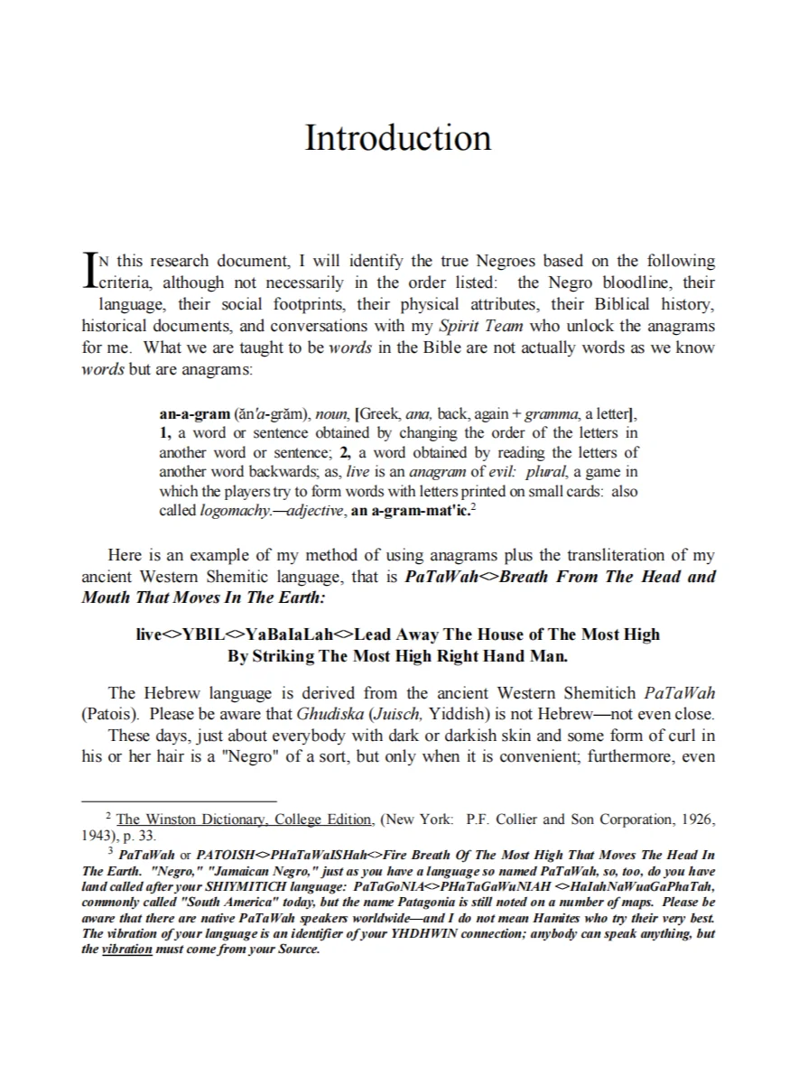 So, Ytiomology, Who Are The Negroes? (PRE-ORDER BUNDLE) product image (3)