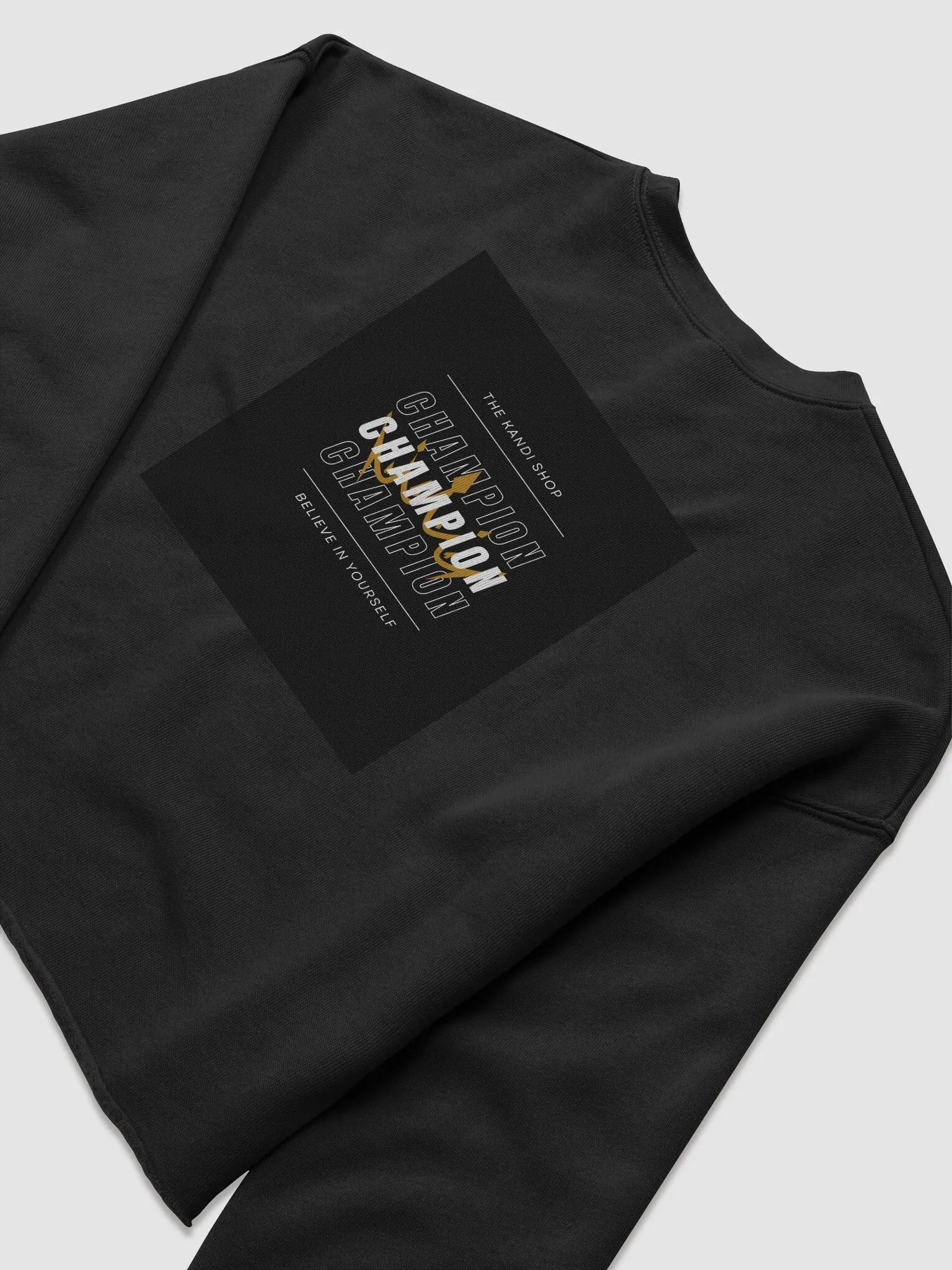 Believe Champion Crop Sweater product image (8)