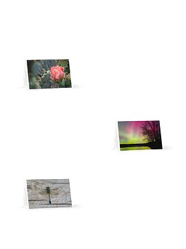 Nature Blank Greeting Cards 3 Pack