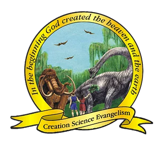 Dinosaur Adventure Land STORE