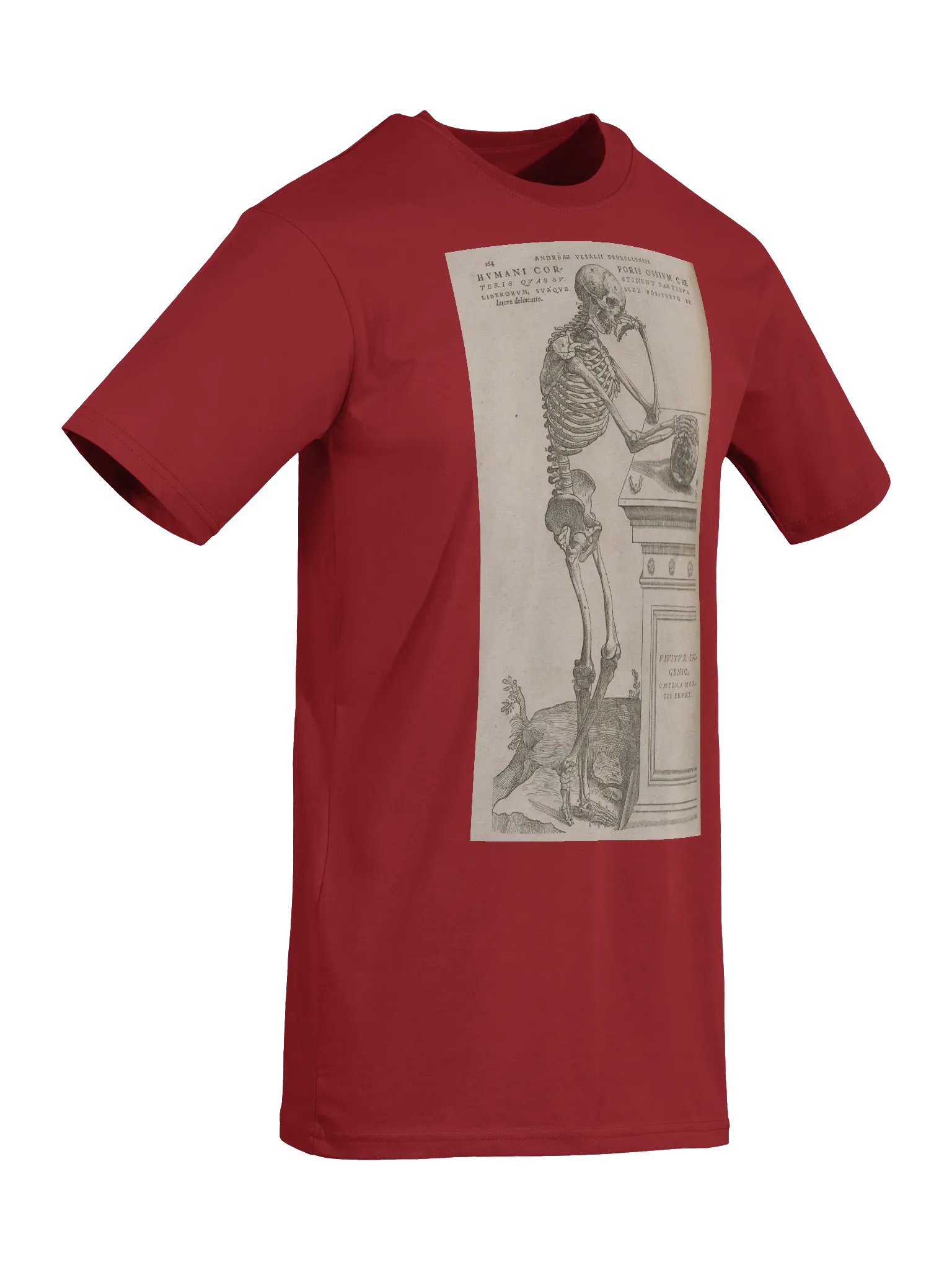 "Skeleton Pondering Mortality" by Andreas Vesalius. product image (6)