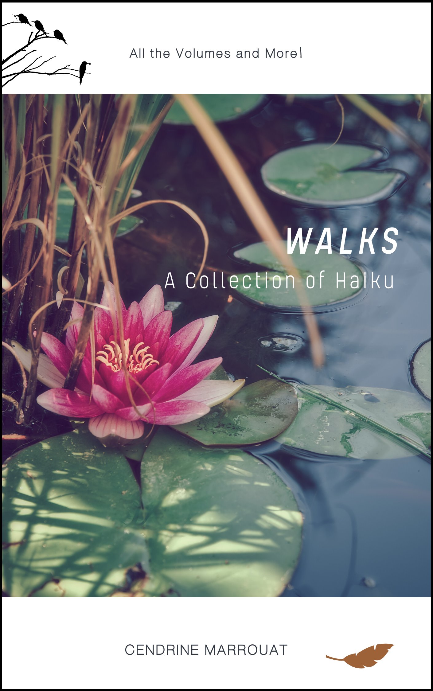Walks: A Collection of Haiku product image (1)