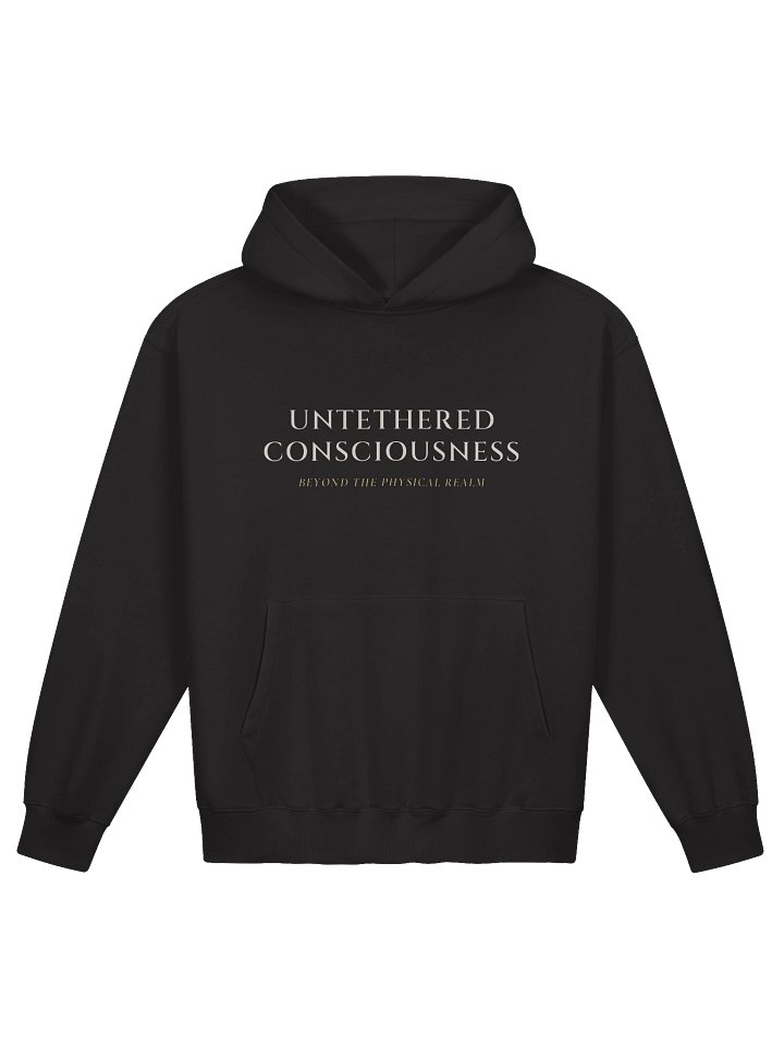 Hoodie (French Terry) product image (1)