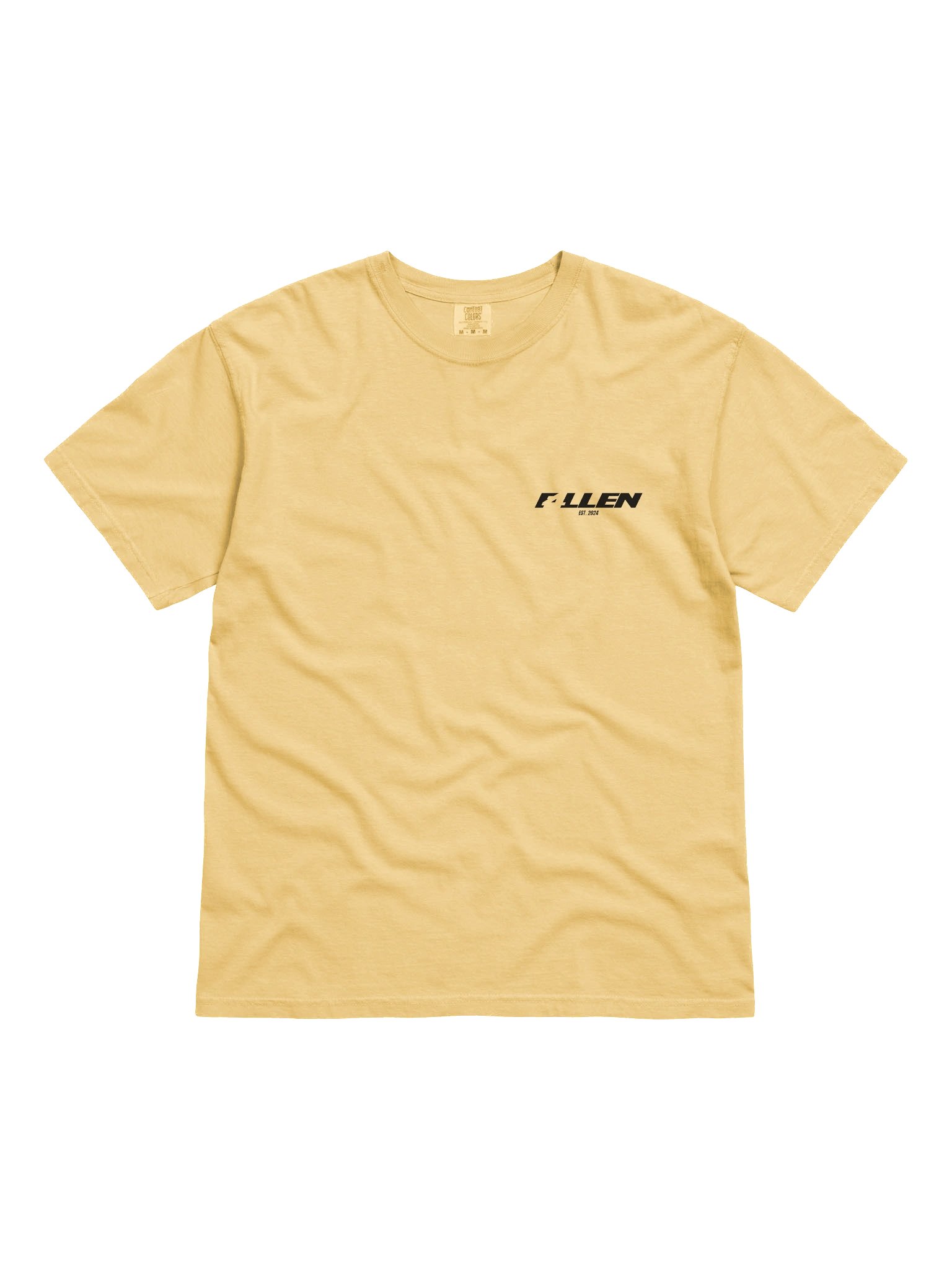 F4LLEN Palm Tree T-SHIRT product image (2)