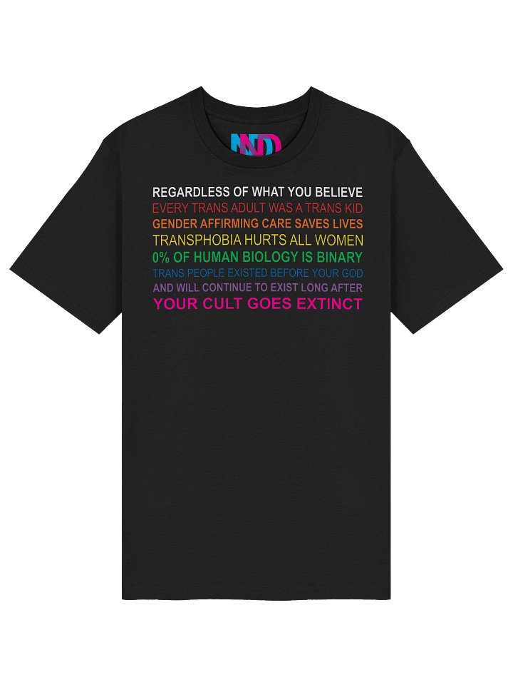 Regardless of What You Believe Tee product image (1)